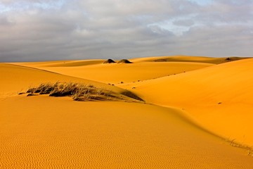 Sand Dunes near Walvis Bay, Namibia