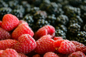 Close up of raspberries and blurred blackberries in the background.