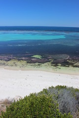View of bush, wild nature in Australia