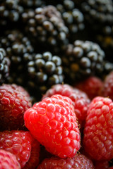 Close up of raspberry. Raspberries and blackberries blurred in the background.