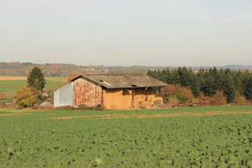 Fototapeta na wymiar Farm house view from countryside field