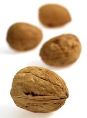 Walnut, juglans regia, Dry Fruit against White Background