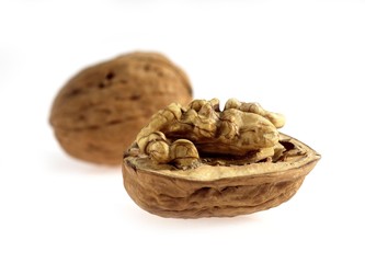 Walnut, juglans regia, Dry Fruit against White Background