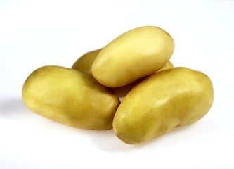 Charlotte Potato, solanum tuberosum, Vegetable against White Background