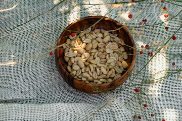 Fried salted peanuts in a beautiful wooden plate, through a thin green twig with red berries. Bean nuts for snacks