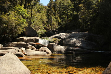 Naklejka na ściany i meble Pool stream in the nature in Australia