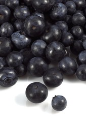 Blueberry or Bilberry, vaccinium myrtillus, Fruits against White Background
