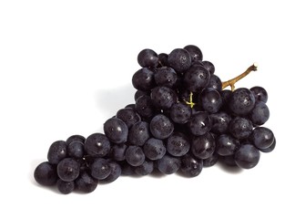 Black Muscat Grape, vitis vinifera, Fruit against White Background