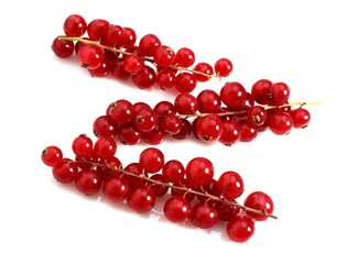 Redcurrants, ribes rubrum, Fruits against White Background