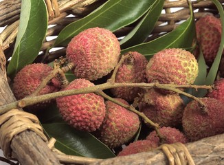 Litchi or Litchee, litchi sinensis, Exotic Fruits in basket
