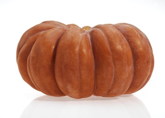 Pumpkin, cucurbita maxima, Gourd against White Background