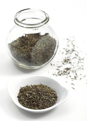 Thyme, thymus vulgaris, Dried Herbs against White Background