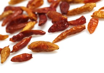 Bird Pepper, capsicum frutescens, Condiment against White Background