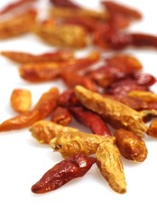 Bird Pepper, capsicum frutescens, Condiment against White Background