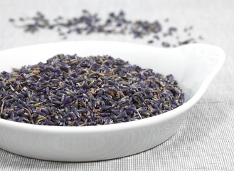 Lavender, lavandula sp, Dry Seeds