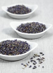 Fototapeta na wymiar Lavender, lavandula sp, Dry Seeds