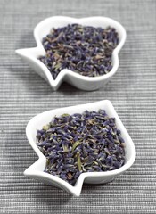 Lavender, lavandula sp, Dry Seeds