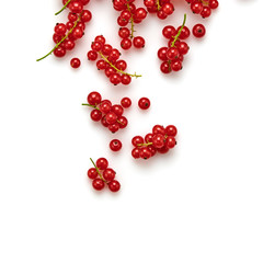 Redcurrant isolated on white. Fresh berry closeup, healthy diet concept. Ripe organic bilberry, mint leaf creative composition. Juicy redcurrant background, top view.
