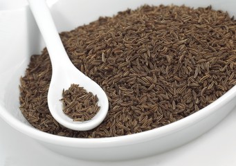 Caraway, carum carvi, Seeds against White Background - obrazy, fototapety, plakaty