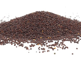Naklejka premium Black Mustard Seeds, sinapis nigra, Dry Seeds against White Background