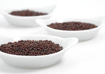 Black Mustard Seeds, sinapis nigra, Dry Seeds against White Background