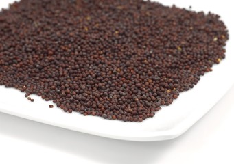Black Mustard Seeds, sinapis nigra, Dry Seeds against White Background