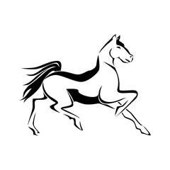 Fototapeta na wymiar dancing horse illustration creative art