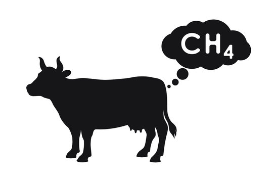 Methane is released by the cow. An increase in greenhouse gases from digestive activity of ruminants. CH4 emissions sign isolated on white background. Vector illustration 