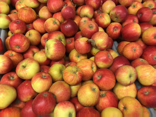 apples