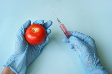 Tomato and syringe with GMO in hands on a blue background.