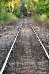 Railroad tracks long view grass