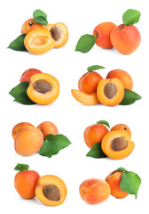 Set of fresh apricots on white background