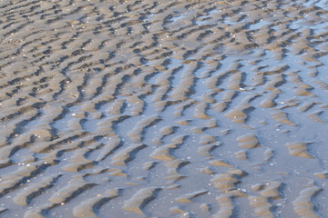 Fototapeta na wymiar Am Meeres Ufer haben die Wellen kleine Sandwellen erzeugt die teilweise mit Wasser, kleine Steine und Muschel Stücke gefüllt sind und eine dekorative Textur entstehen lassen.