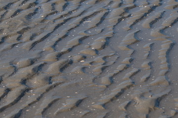 Am Meeres Ufer haben die Wellen kleine Sandwellen erzeugt die teilweise mit Wasser, kleine Steine und Muschel Stücke gefüllt sind und eine dekorative Textur entstehen lassen.