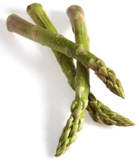 Green Asparagus, asparagus officinalis, Vegetables against White Background