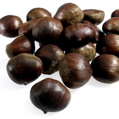 Chestnuts, castanea sativa, Fruits against White Background