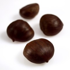 Chestnuts, castanea sativa, Fruits against White Background