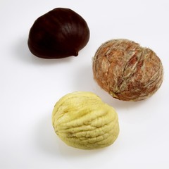 Chestnuts, castanea sativa, Fruits against White Background