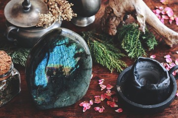 Labradorite crystal on dark wooden table with various nature objects like dried evergreens, plants,...