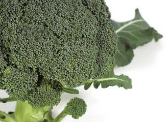 Broccoli Cabbages, brassica oleracea, Vegetable against White Background