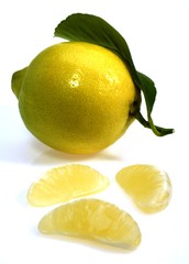 Yellow Lemon, citrus limonum, Fruit against White Background