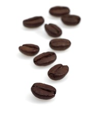 Coffee Beans against White Background