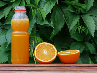 Fresh homemade orange juice in bottle in the garden