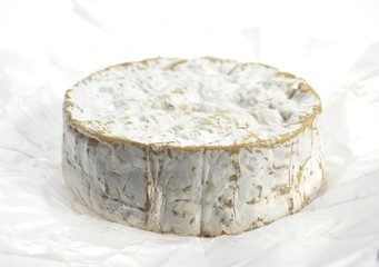 Camembert, French Cheese made with Cow Milk in Normandy