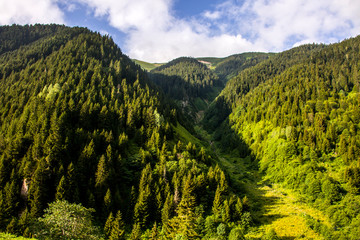 Anadolu villagers with rivers and mountains. ikizdere, Rize Turkey