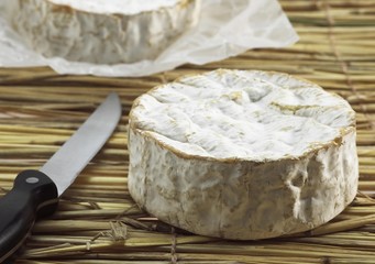 Camembert, French Cheese made with Cow Milk in Normandy