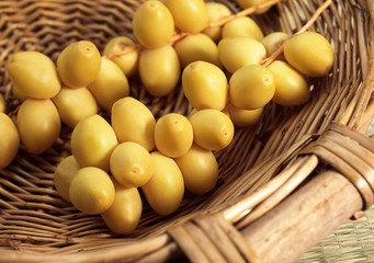 Fresh Dates, phoenix dactylifera, Fruits in a Basket