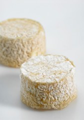 French Cheese Called Crottin, Cheese made with Goat Milk