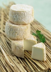 French Cheese Called Crottin, Cheese made with Goat Milk