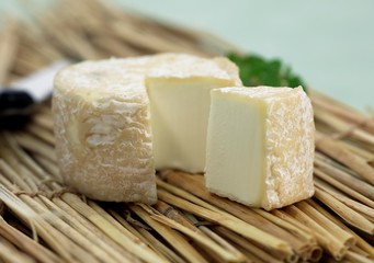 French Cheese Called Crottin, Cheese made with Goat Milk